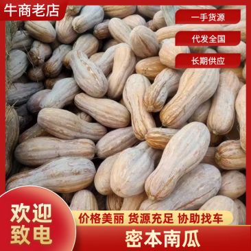 密本南瓜大量有货长期供应对接市场商超
