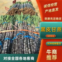 广东黑皮甘蔗对接电商市场商超可视频看货保证质量