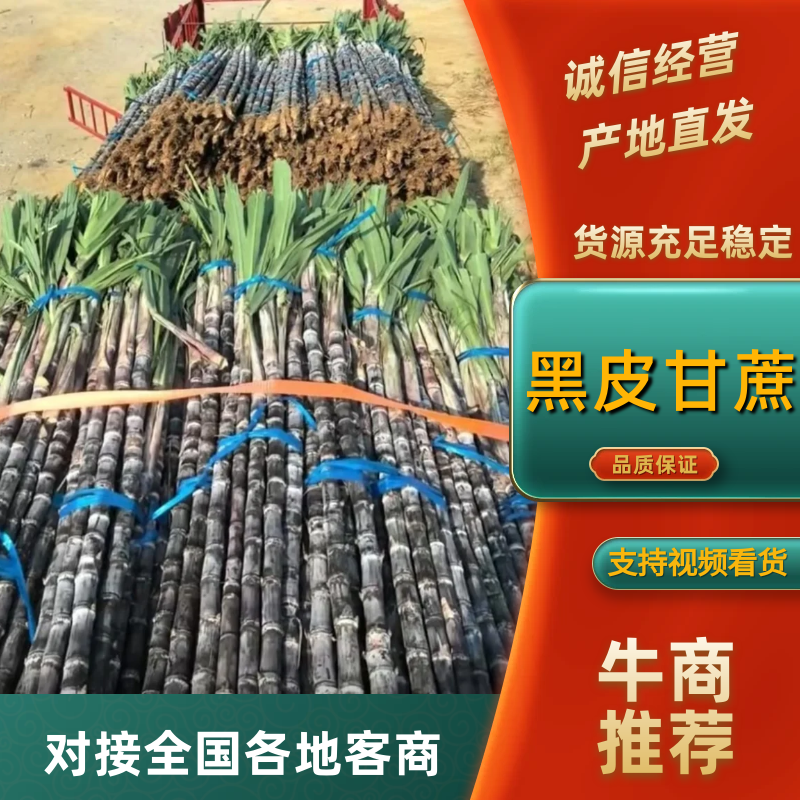 广东黑皮甘蔗对接电商市场商超可视频看货保证质量