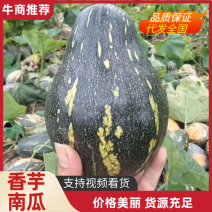 香芋南瓜基地直发对接电商市场商超可视频看货