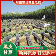 精品推荐黑皮甘蔗基地直发对接电商市场商超