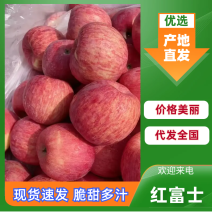 红富士苹果一手货源，规格齐全，口感好，品质高，可视频看货