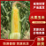 【实力推荐】水果玉米。产地一手货源云南，海南