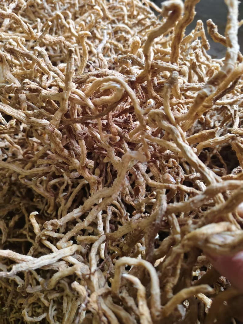 玉竹【中药玉竹】欢迎来电咨询，对接各大电商平台一件代发