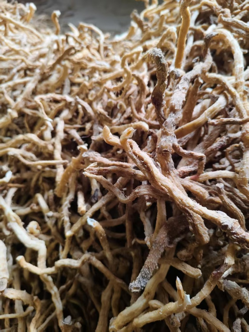 玉竹【中药玉竹】欢迎来电咨询，对接各大电商平台一件代发