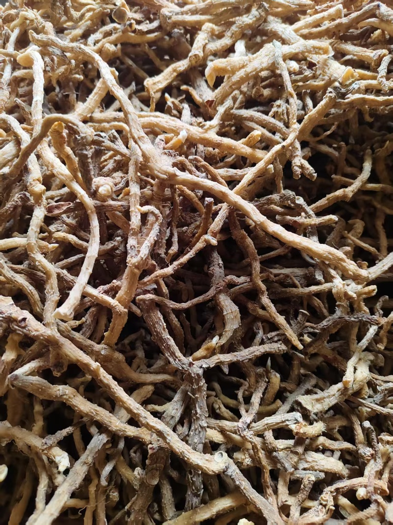 玉竹【中药玉竹】欢迎来电咨询，对接各大电商平台一件代发