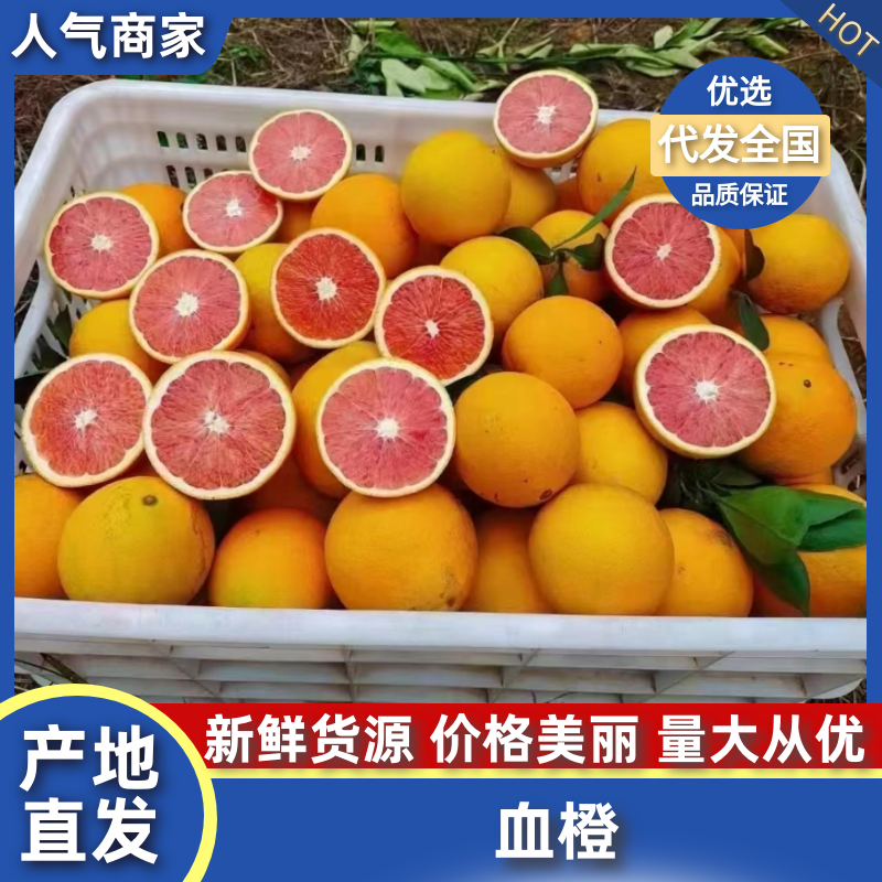 （热卖中）血橙湖北精品血橙，一手货源规格齐全代发全国