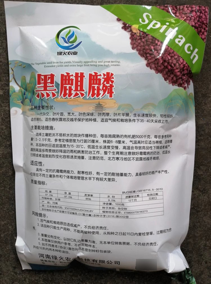 黑麒麟菠菜种子2斤原装春秋墨绿菠菜种籽适合捆扎肥厚大圆叶