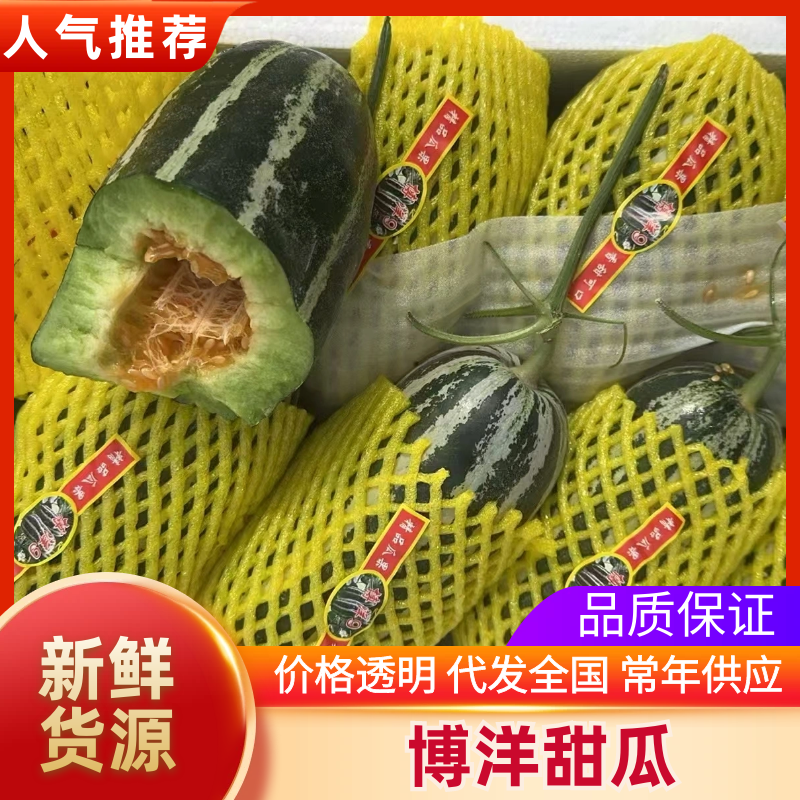 {推荐}山东禹城博洋甜瓜，大量上货，万亩基地，欢迎来点
