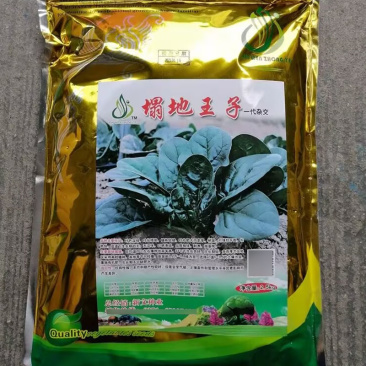 塌地王子菠菜种子5斤塌地趴地菠菜种籽耐寒高产叶色深绿肥厚