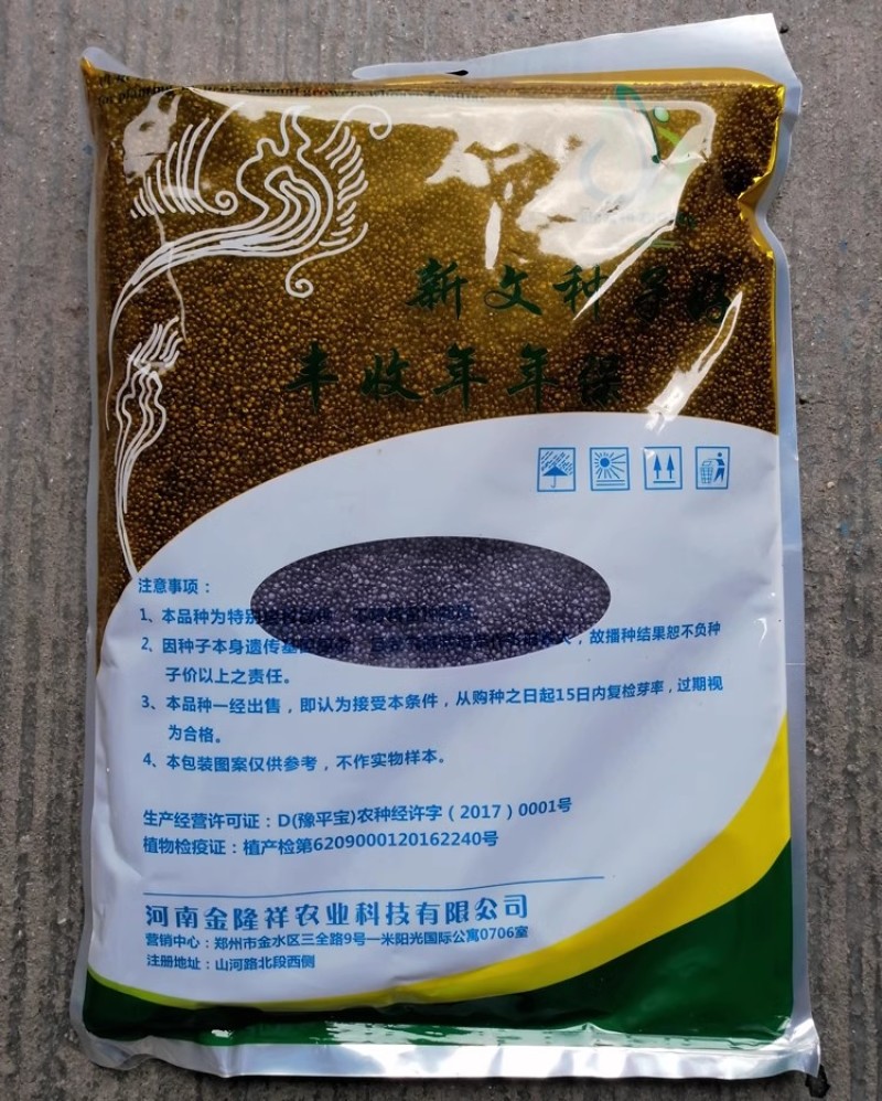 塌地王子菠菜种子5斤塌地趴地菠菜种籽耐寒高产叶色深绿肥厚