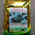塌地王子菠菜种子5斤塌地趴地菠菜种籽耐寒高产叶色深绿肥厚
