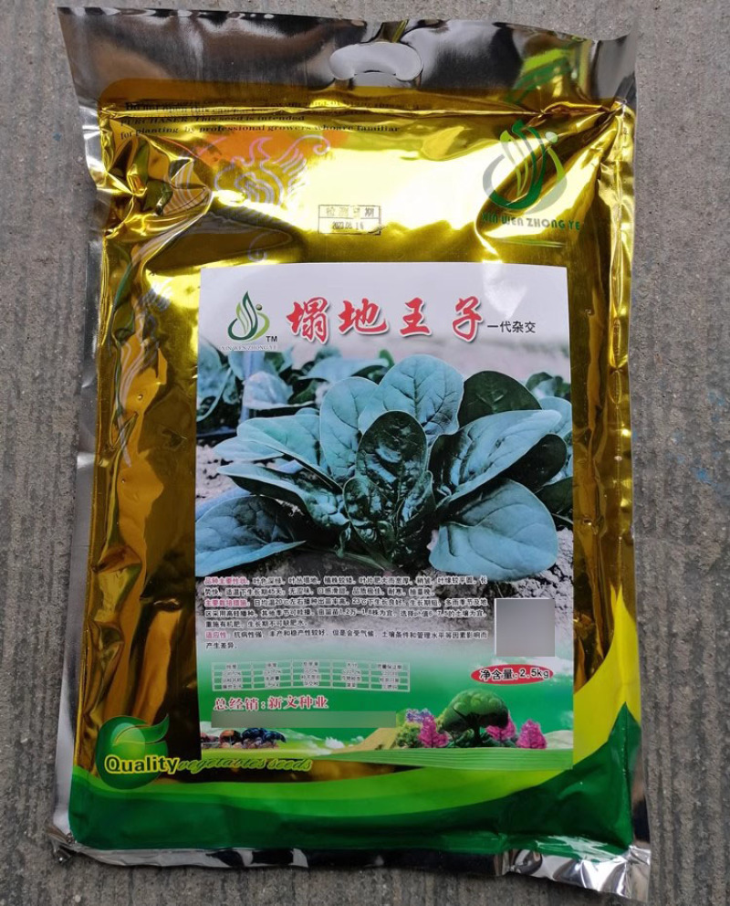 塌地王子菠菜种子5斤塌地趴地菠菜种籽耐寒高产叶色深绿肥厚