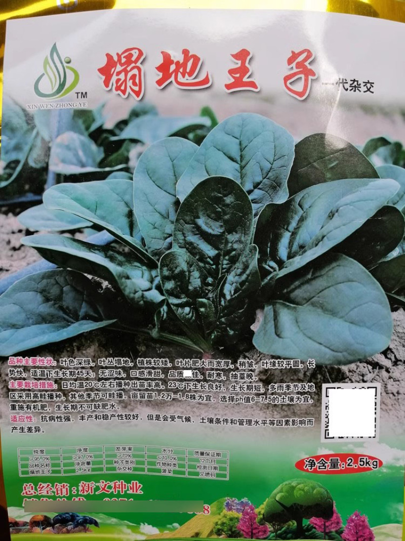 塌地王子菠菜种子5斤塌地趴地菠菜种籽耐寒高产叶色深绿肥厚