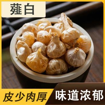 正品薤白中药材薤白头泻白薤白粉非特级野生新鲜货野蒜山蒜小