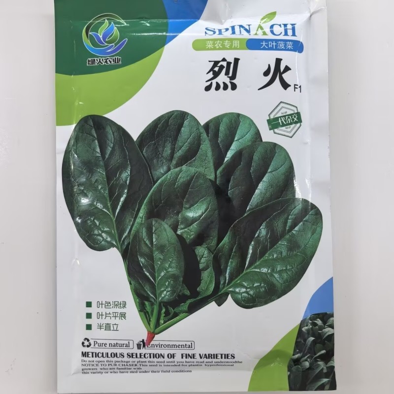 烈火大叶耐热夏播菠菜种子高产夏季秋季耐寒四季菠菜种子