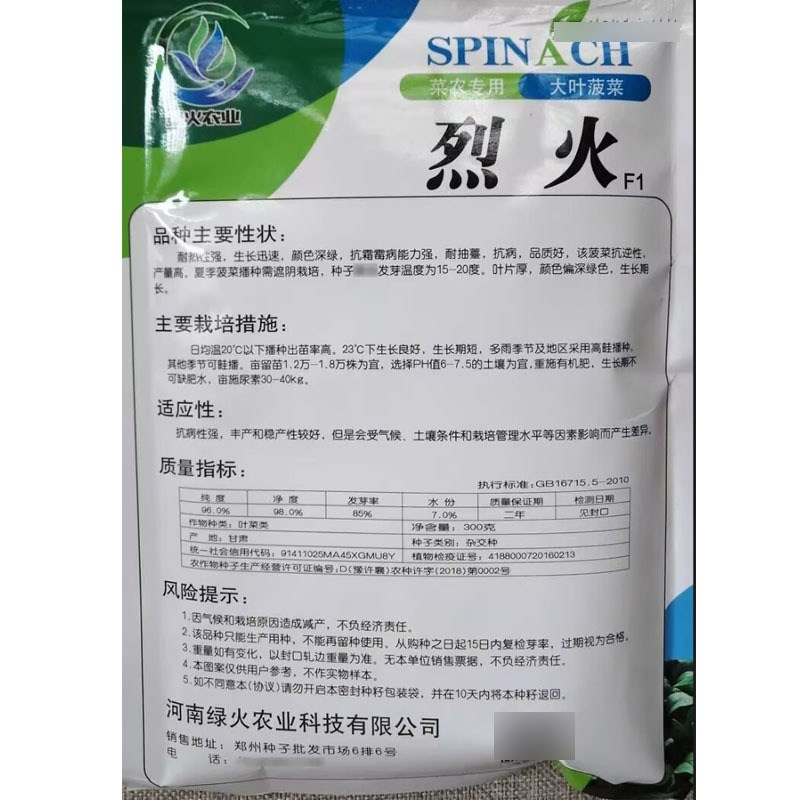 烈火大叶耐热夏播菠菜种子高产夏季秋季耐寒四季菠菜种子