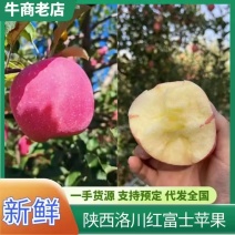【红富士苹果】陕西洛川苹果条红片红都有糖分足脆甜纸袋膜袋