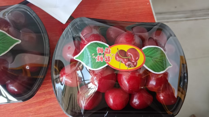 大连美早大樱桃，品质保证，规格齐全，价格优惠，诚信经营