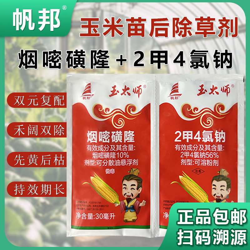 帆邦玉太师烟嘧磺隆2甲4氯钠苞谷包米田玉米地苗后除草剂