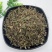 败酱草统装大货批发量大从优一手货源