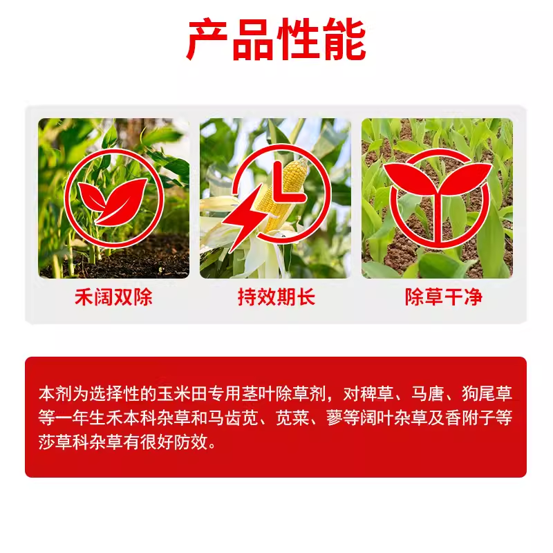 帆邦玉太师烟嘧磺隆2甲4氯钠苞谷包米田玉米地苗后除草剂