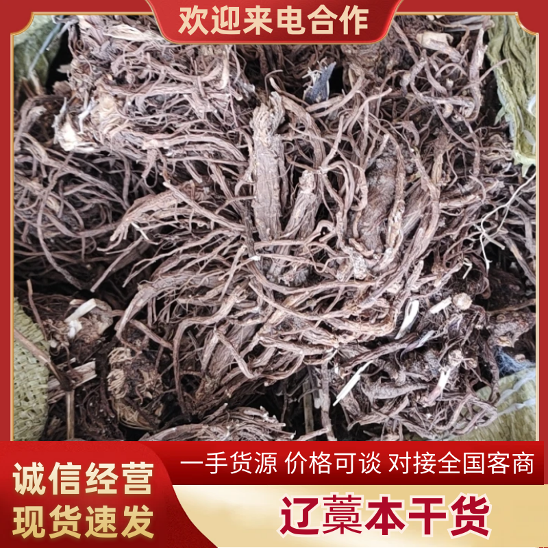 辽藁本干货，产地直销，一手货源，可支持视频看货！