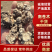 南苍术干货大量供应东北朱砂点起霜干货一手货源