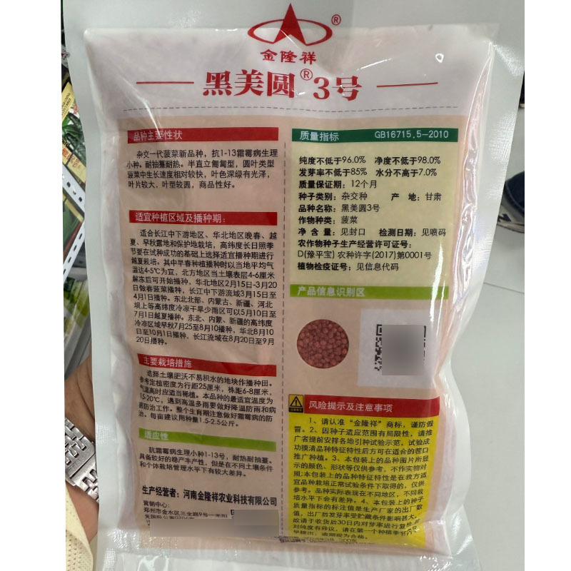 黑美圆3号菠菜种子抗1-13霜霉病生理小种耐热耐抽苔