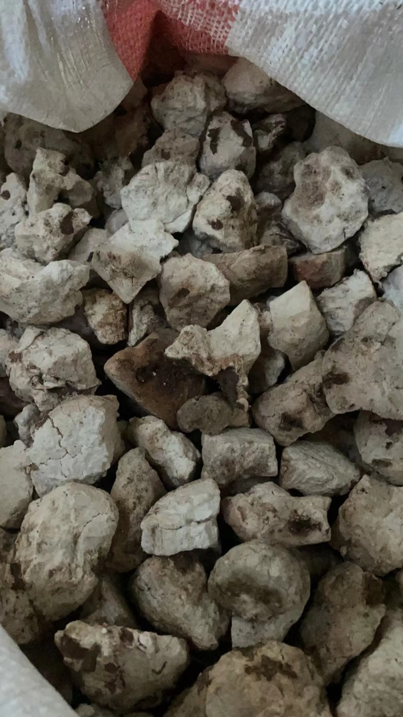 茯苓中药材批发云南白茯苓坨茯苓乱坨生切无硫茯苓乱坨丁大货