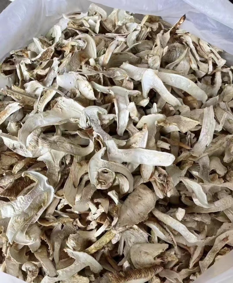 精品云南松茸干片产地直发一手货源量大从优