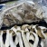 精品云南松茸干片货源充足对接各种商超市场