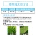 帆邦60%吡蚜酮呋虫胺水稻抗性稻飞虱内吸专用农用杀虫剂
