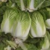 彭州骆明江蔬菜代办的一亩田店铺