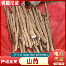 【电商货】河北铁棍山药网袋山药软糯香甜产地一手货源