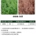 帆邦狂风剑88%高浓度草铵膦荒地除草烂根剂牛筋草农用药