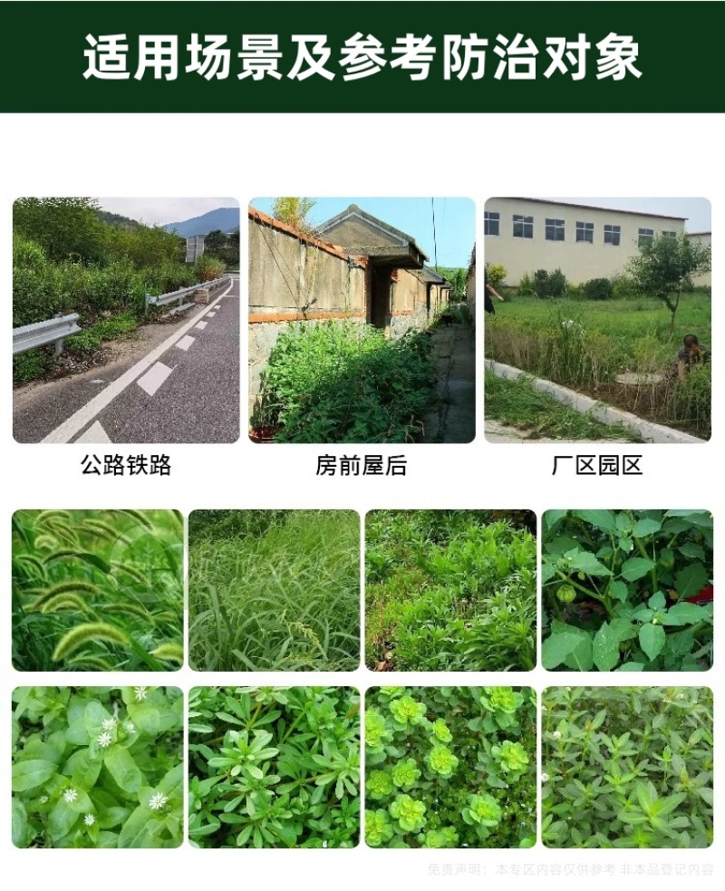帆邦狂风剑88%高浓度草铵膦荒地除草烂根剂牛筋草农用药