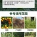 帆邦霸天狮氟草草铵膦甲基化植物油非耕地荒地除杂草除草剂