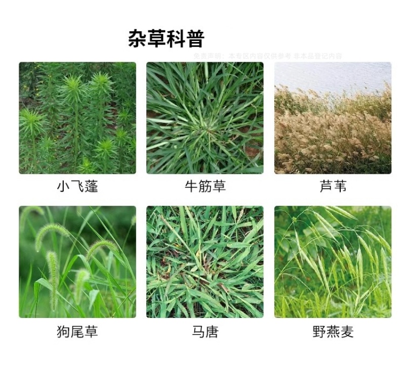 帆邦霸天狮氟草草铵膦甲基化植物油非耕地荒地除杂草除草剂