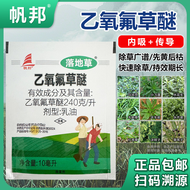 帆邦落地草24%乙氧氟草醚水稻移栽田野燕麦车前草除草剂