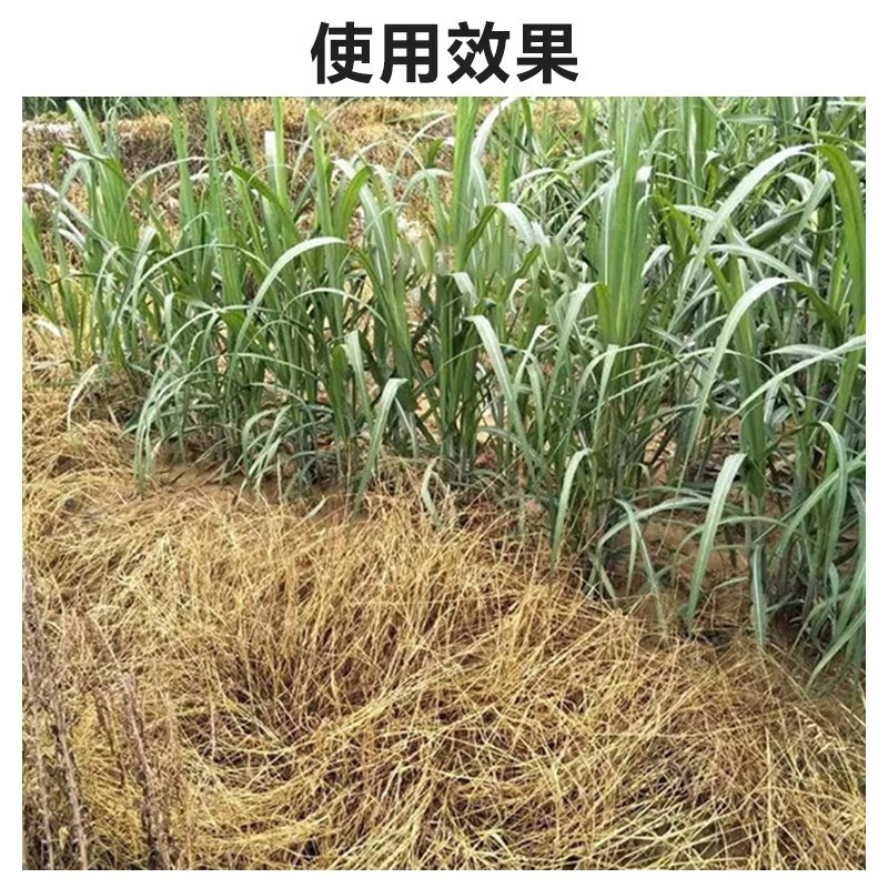 帆邦80%高浓度敌草隆农用药棉花田快速除马塘杂草杀草剂