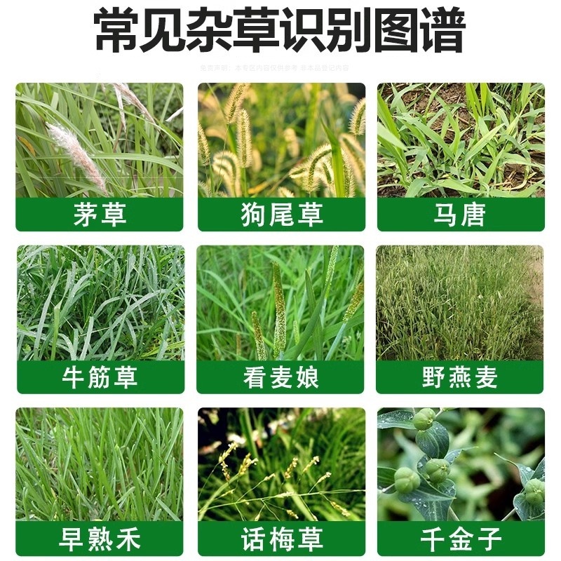 帆邦80%高浓度敌草隆农用药棉花田快速除马塘杂草杀草剂