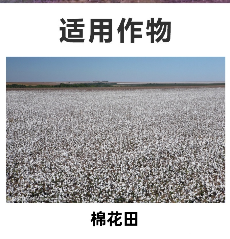 帆邦80%高浓度敌草隆农用药棉花田快速除马塘杂草杀草剂