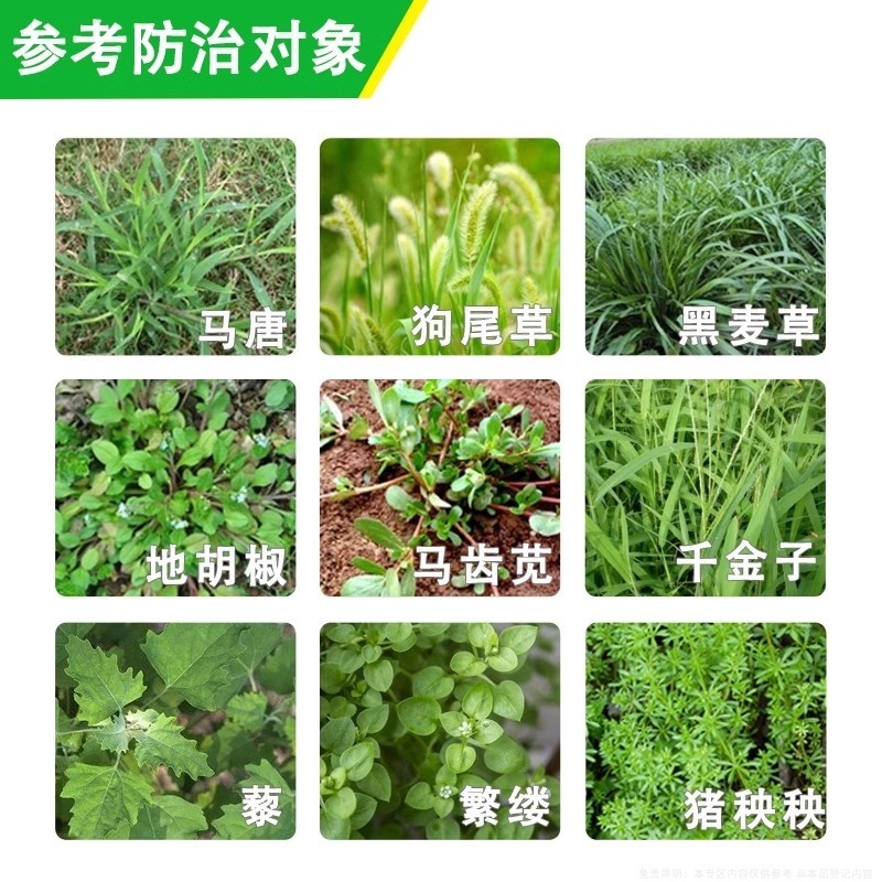 帆邦暖坪净25%啶嘧磺隆农用药狗牙根百慕大马尼拉除草剂