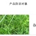 帆邦暖坪净25%啶嘧磺隆农用药狗牙根百慕大马尼拉除草剂