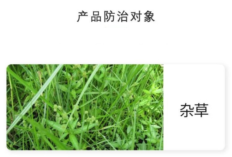 帆邦暖坪净25%啶嘧磺隆农用药狗牙根百慕大马尼拉除草剂