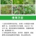帆邦暖坪净25%啶嘧磺隆农用药狗牙根百慕大马尼拉除草剂
