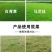 帆邦暖坪净25%啶嘧磺隆农用药狗牙根百慕大马尼拉除草剂
