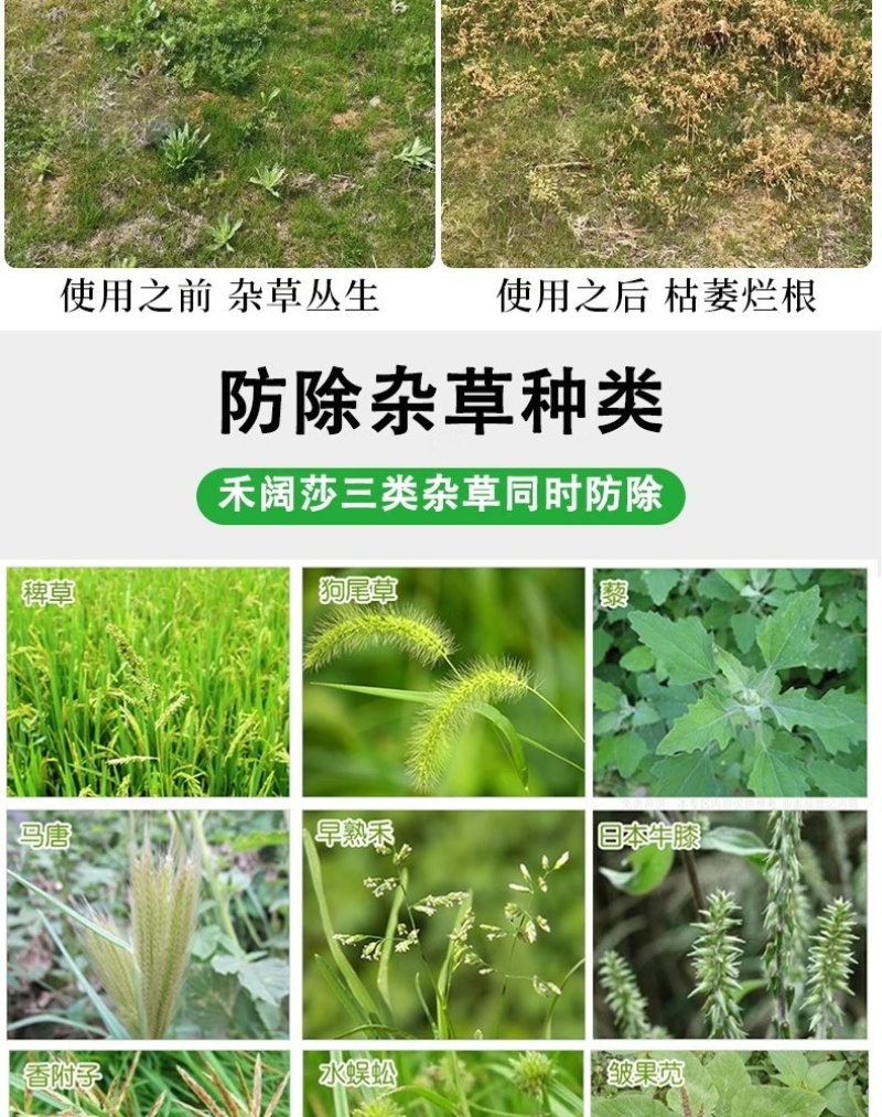 帆邦暖坪净25%啶嘧磺隆农用药狗牙根百慕大马尼拉除草剂