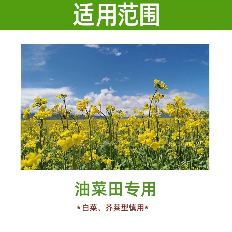 帆邦50%高浓度正品草除灵农用油菜田苗后内吸传导除草剂